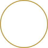 Person with stars and checkmark icon